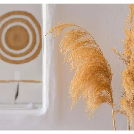 Avgerinos Deluxe Bed & Breakfast Paliochori